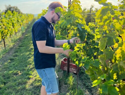 Lions aus Orscholz zu Besuch beim Bio-Weingut Pierre-Marie in Biringen